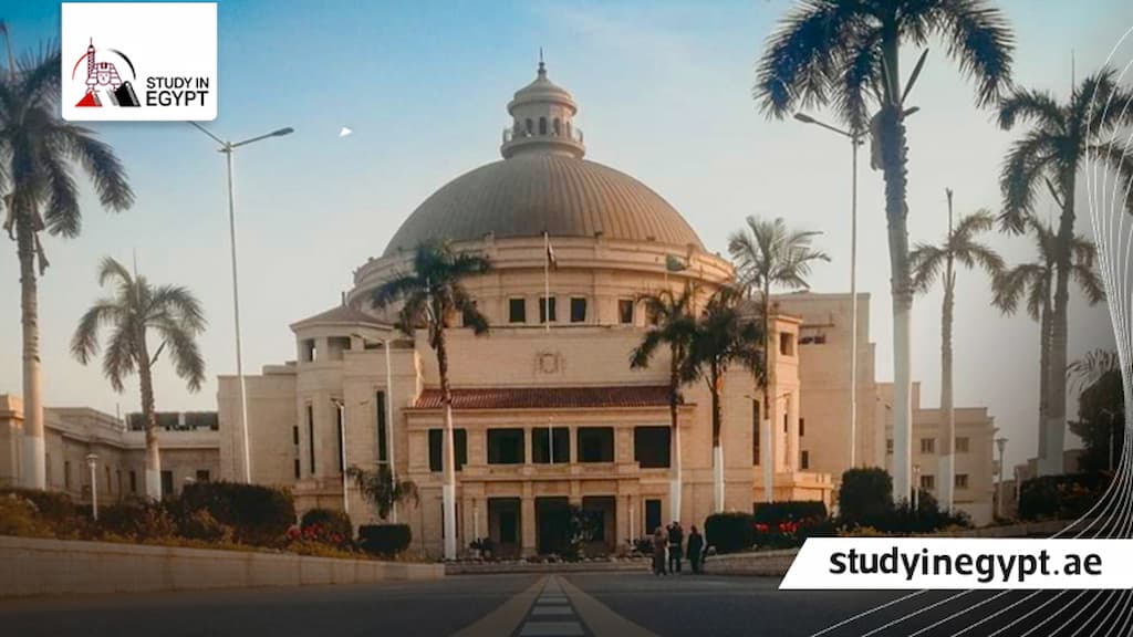 التعليم المدمج جامعة القاهرة