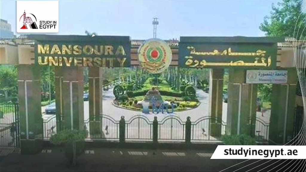 الدراسات العليا جامعة المنصورة كلية التجارة