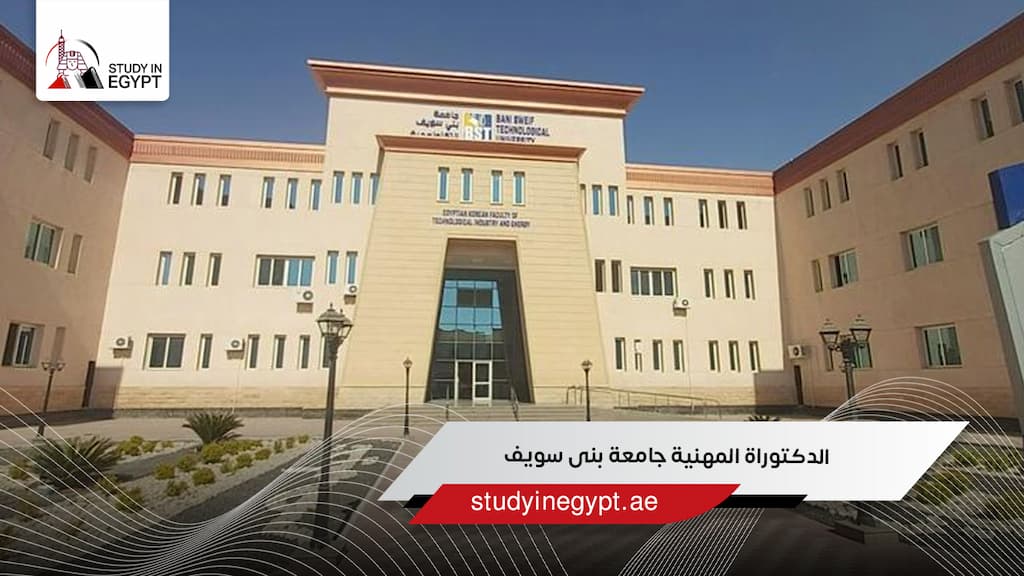 الدكتوراة المهنية جامعة بنى سويف