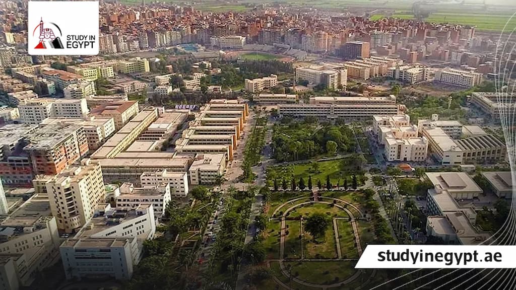 الكليات الموجودة في جامعة المنصورة