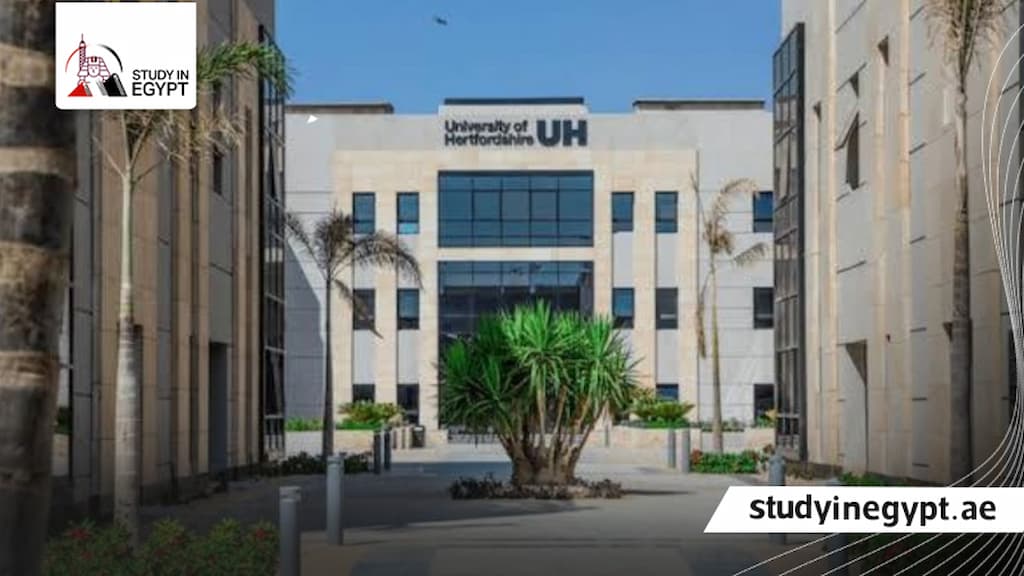 جامعة هيرتفوردشاير في مصر