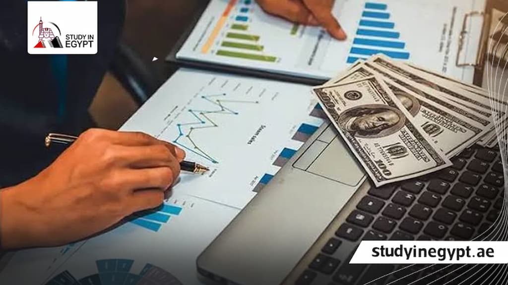 ماجستير إدارة مالية عن بعد