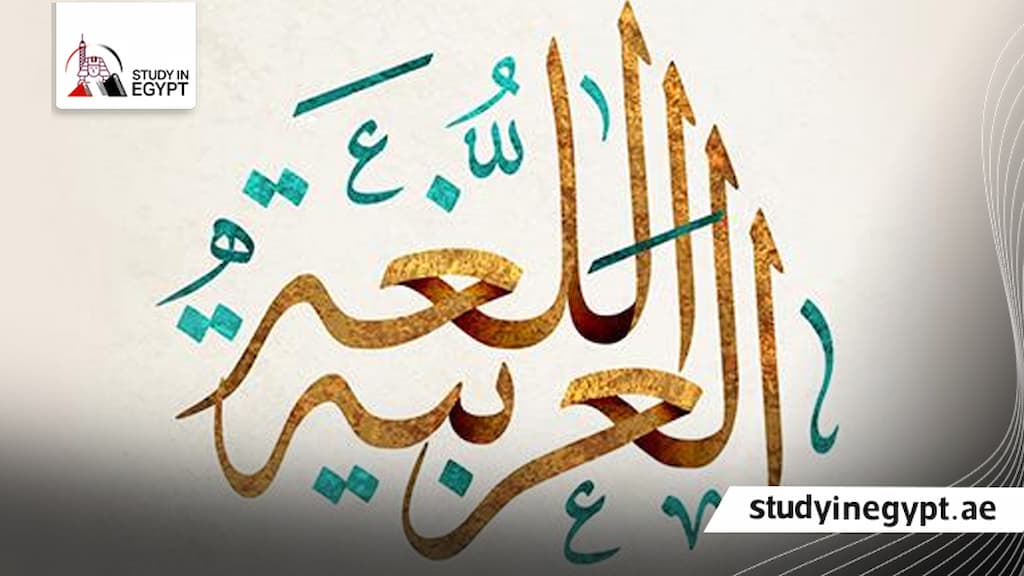 ماجستير اللغة العربية لغير الناطقين بها
