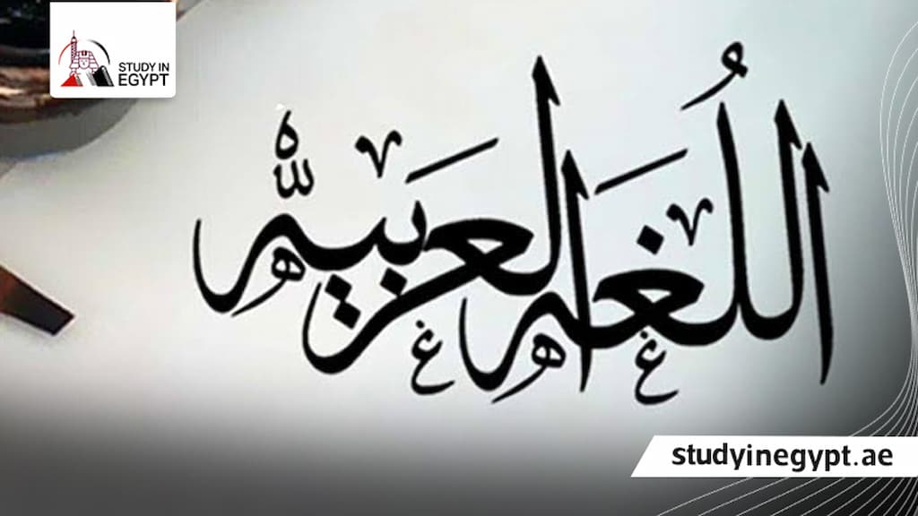ماجستير لغويات لغة عربية