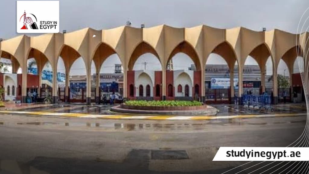 أقسام كلية آداب جامعة حلوان