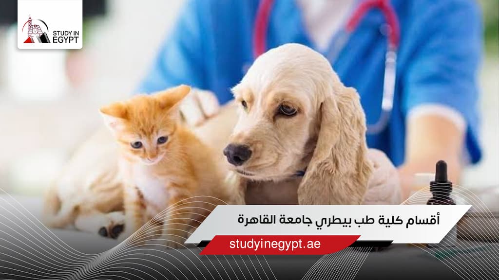 أقسام كلية طب بيطري جامعة القاهرة