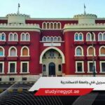 التسجيل في جامعة الاسكندرية