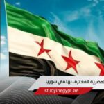 الجامعات المصرية المعترف بها في سوريا