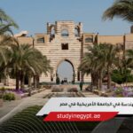 تخصصات الهندسة في الجامعة الأمريكية في مصر