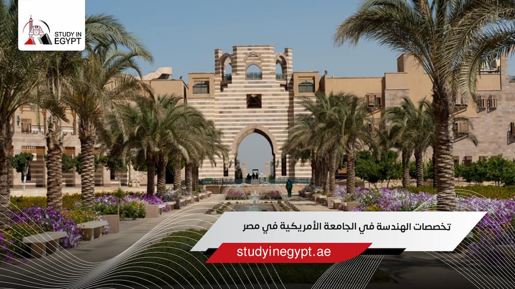 تخصصات الهندسة في الجامعة الأمريكية في مصر
