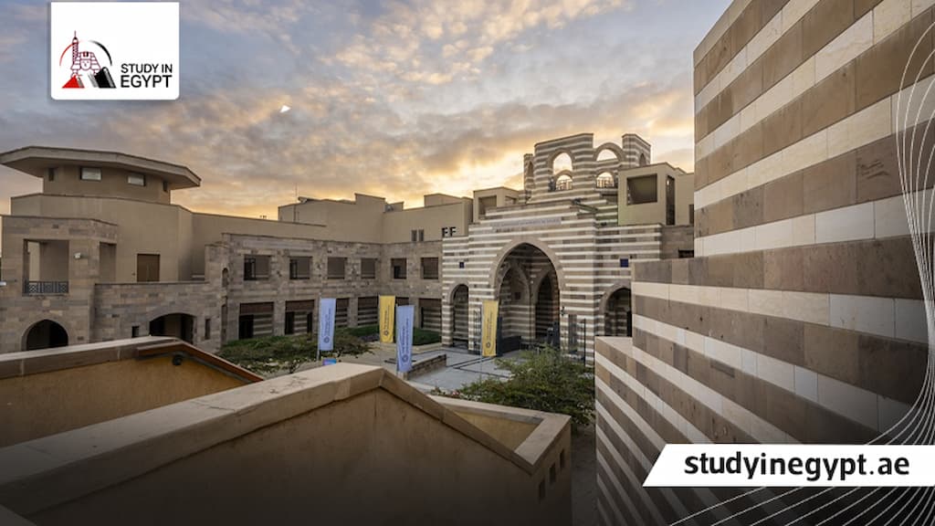 تخصصات الهندسة في الجامعة الأمريكية في مصر