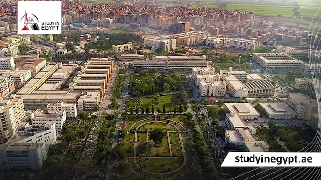 ترتيب جامعة المنصورة عالمياً