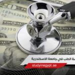 تكاليف دراسة الطب في جامعة الإسكندرية