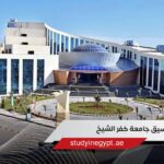 تنسيق جامعة كفر الشيخ