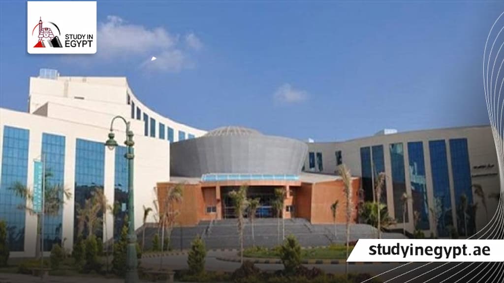 تنسيق جامعة كفر الشيخ
