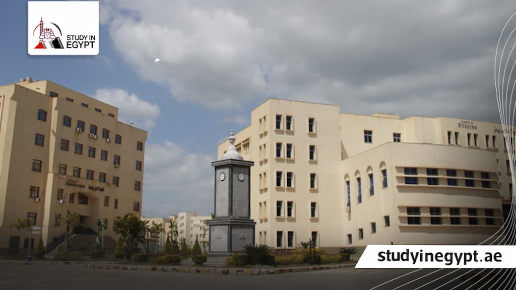 جامعة كفر الشيخ الأهلية