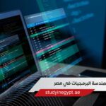 دراسة هندسة البرمجيات في مصر