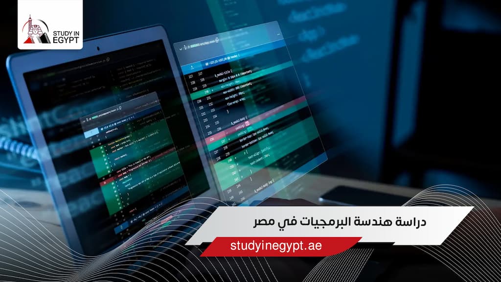 دراسة هندسة البرمجيات في مصر