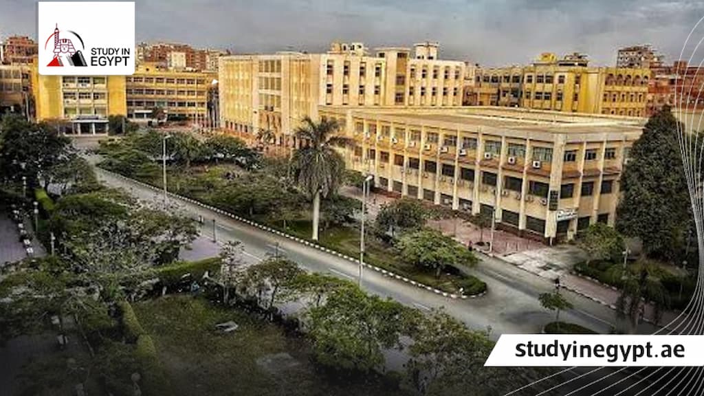 شروط الدراسات العليا جامعة الزقازيق