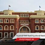 كلية التجارة جامعة الإسكندرية شعبة اللغة الإنجليزية