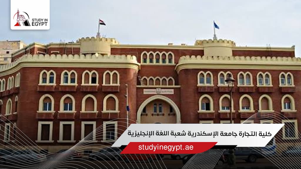 كلية التجارة جامعة الإسكندرية شعبة اللغة الإنجليزية