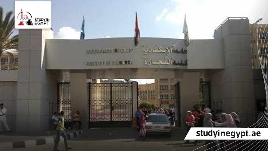 كلية التجارة جامعة الإسكندرية شعبة اللغة الإنجليزية