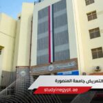 كلية التمريض جامعة المنصورة