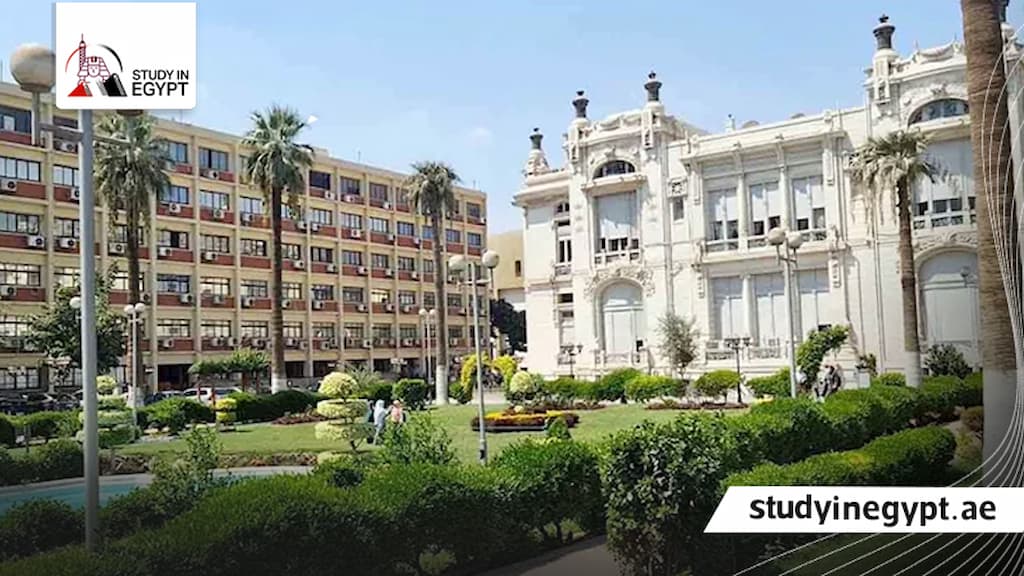 كلية الدراسات العليا للطفولة جامعة عين شمس