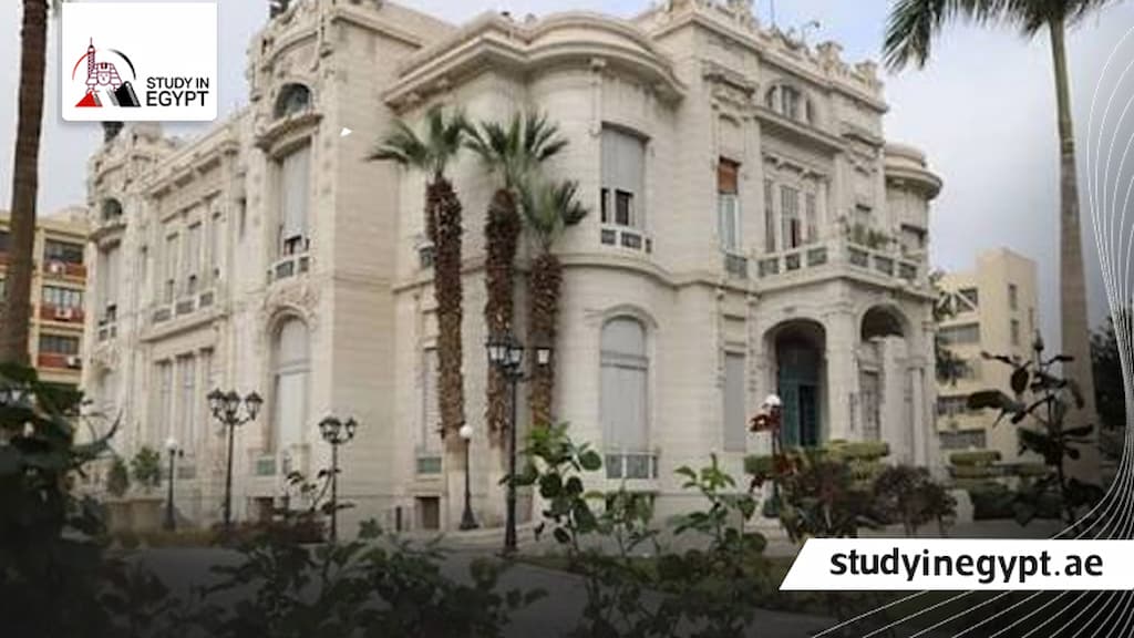  كلية الطب جامعة عين شمس