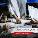 ماجستير ادارة الاعمال جامعة الاسكندرية