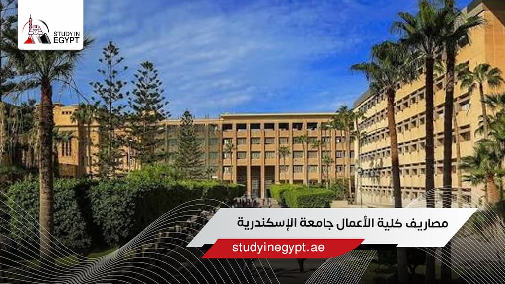 مصاريف كلية الأعمال جامعة الإسكندرية